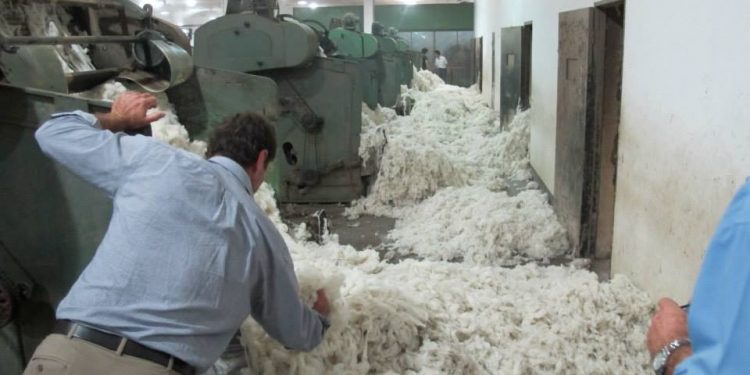 El precio promedio de la lana se consolida debajo de los nueve dólares
