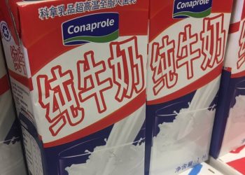 En el año las exportaciones lácteas crecieron 26%