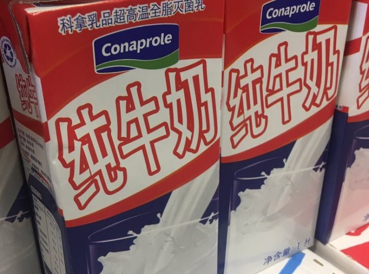 En el año las exportaciones lácteas crecieron 26%