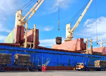 Exportaciones de octubre totalizaron US$ 842 millones, 6% menos que en 2021