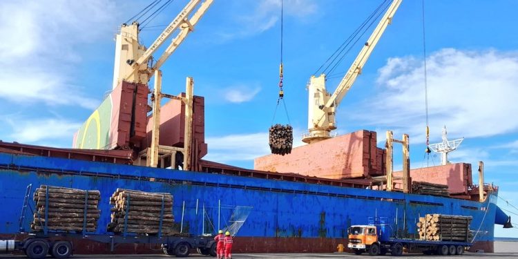 Exportaciones de octubre totalizaron US$ 842 millones, 6% menos que en 2021