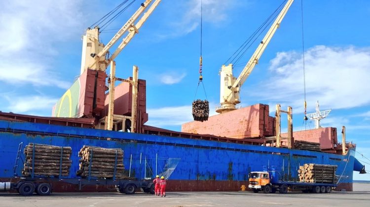 Exportaciones de octubre totalizaron US$ 842 millones, 6% menos que en 2021