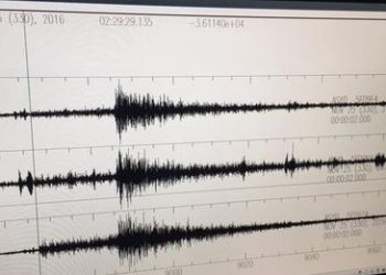 Sismo en Florida: “Fue como un latigazo fuerte que hizo temblar la casa”