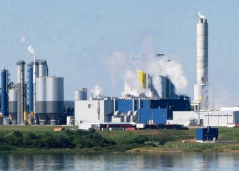 Diferentes sectores políticos opinan sobre proyecto de Cabildo Abierto para contratos del Estado