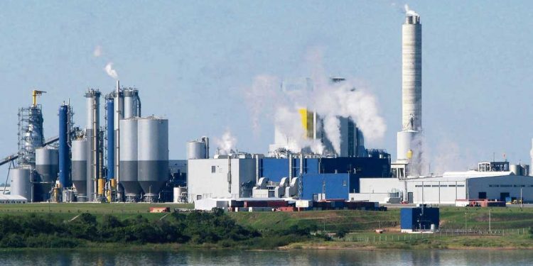 Diferentes sectores políticos opinan sobre proyecto de Cabildo Abierto para contratos del Estado