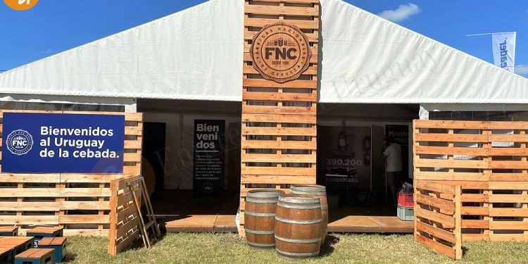 Nihilismo importador