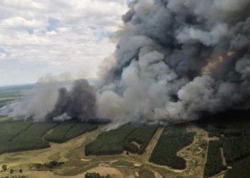 Incendios forestales: preocupación entre productores y expectativas por proyecto de ley