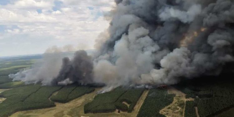 Incendios forestales: preocupación entre productores y expectativas por proyecto de ley