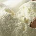 Fonterra se recupera impulsada por la leche en polvo