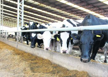 Asamblea de los 29 de Conaprole: Preocupación por la caída del dólar y la conflictividad laboral