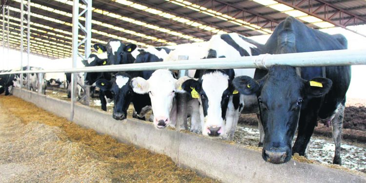 Asamblea de los 29 de Conaprole: Preocupación por la caída del dólar y la conflictividad laboral