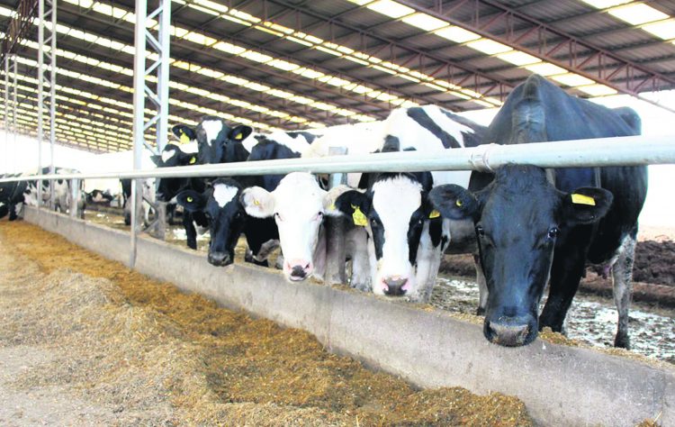 Asamblea de los 29 de Conaprole: Preocupación por la caída del dólar y la conflictividad laboral