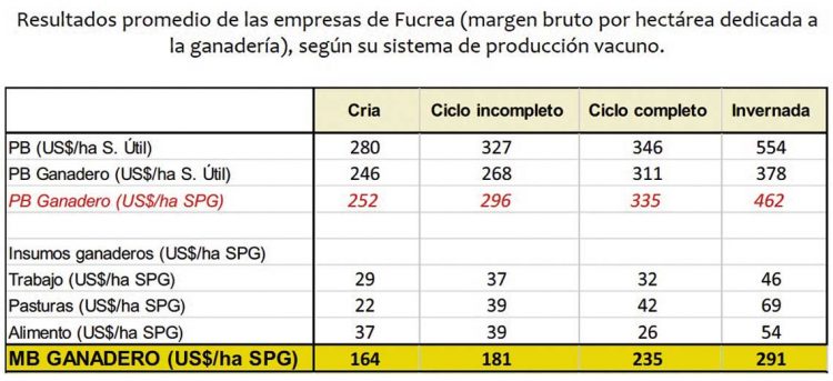 A pesar de los desafíos, productores CREA lograron muy buenos resultados