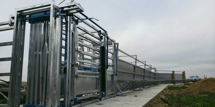 Steelagro diseña y fabrica instalaciones para el ganado