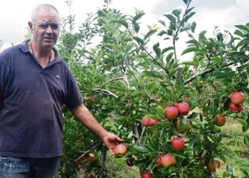Los desafíos de la granja: entre la sequía y las dificultades para exportar