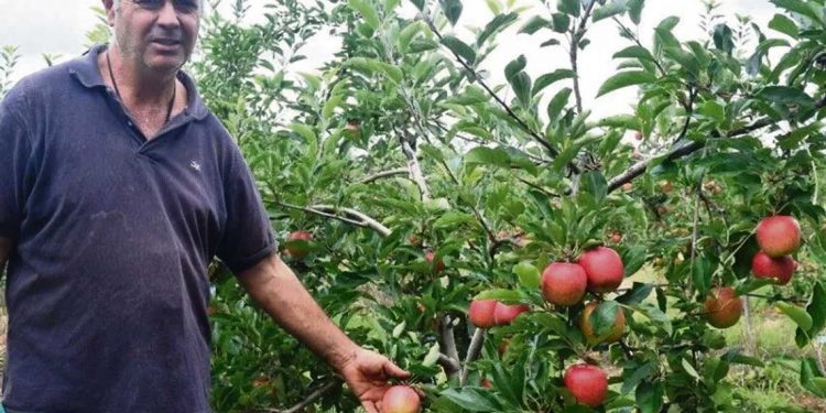 Los desafíos de la granja: entre la sequía y las dificultades para exportar