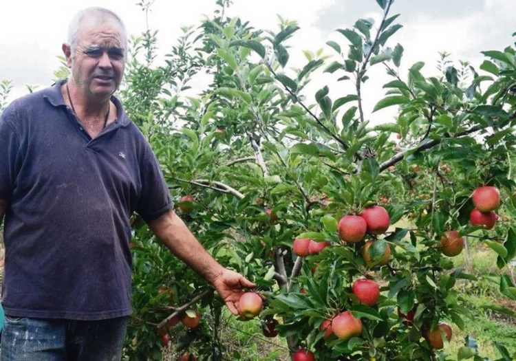 Los desafíos de la granja: entre la sequía y las dificultades para exportar