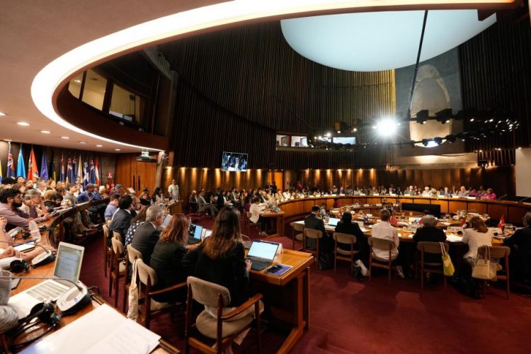 Bonelli: “Tenemos buenas medidas para proteger y garantizar los derechos de las personas mayores”