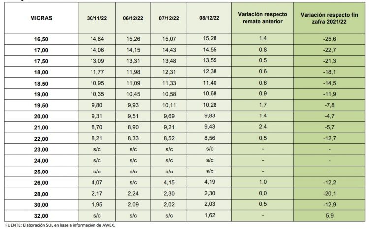 Diciembre comenzó al alza para las lanas en el mercado internacional