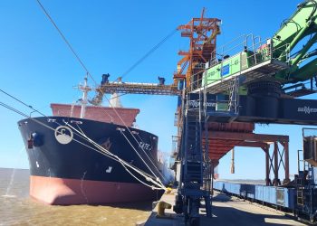 En noviembre las exportaciones fueron por US$ 889 millones, 11% menos que en 2021