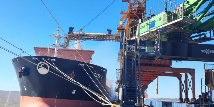 En noviembre las exportaciones fueron por US$ 889 millones, 11% menos que en 2021