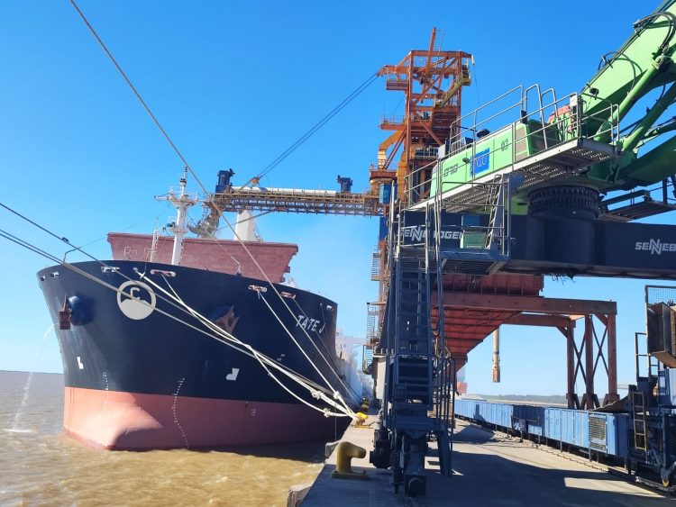 En noviembre las exportaciones fueron por US$ 889 millones, 11% menos que en 2021