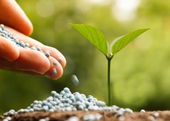 Inseguridad global en el acceso a fertilizantes