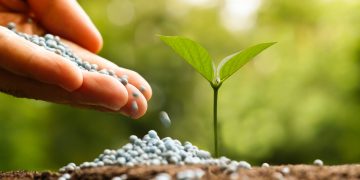 Inseguridad global en el acceso a fertilizantes