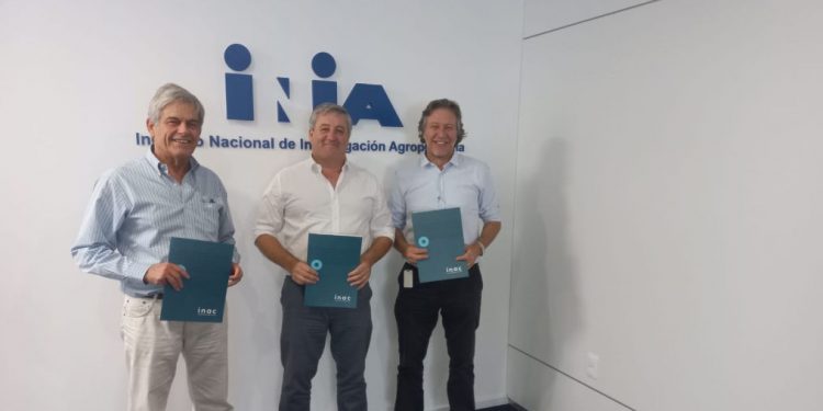 INAC, INIA e Instituto Pasteur trabajarán en forma conjunta en el combate de la mosca de la bichera y la garrapata