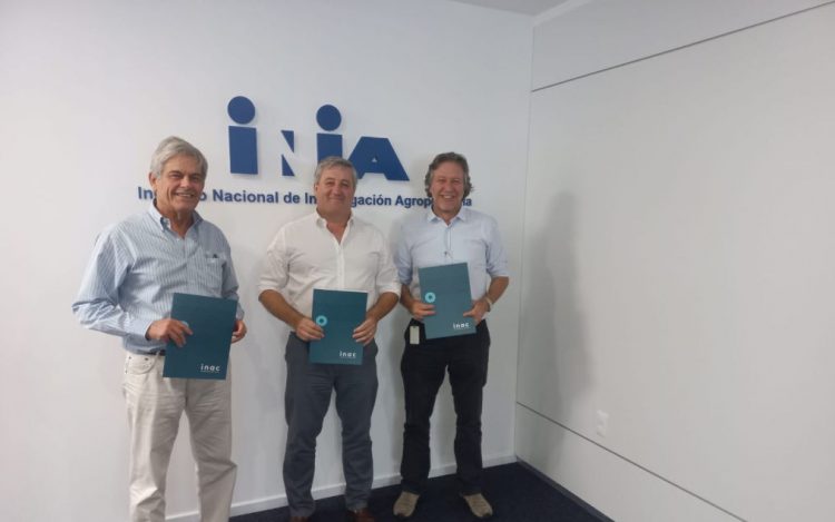 INAC, INIA e Instituto Pasteur trabajarán en forma conjunta en el combate de la mosca de la bichera y la garrapata