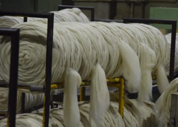 Diciembre comenzó al alza para las lanas en el mercado internacional