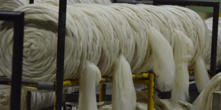 Diciembre comenzó al alza para las lanas en el mercado internacional