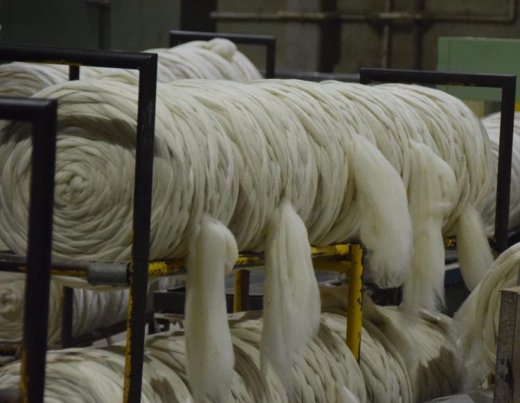 Diciembre comenzó al alza para las lanas en el mercado internacional