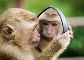 Las marcas de un retroceso socioeconómico