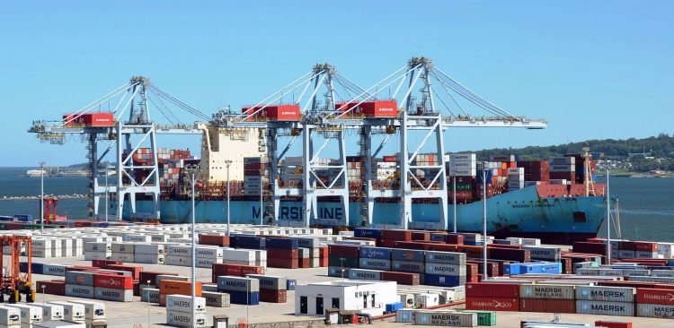 Exportaciones lácteas crecieron 23% en el acumulado anual