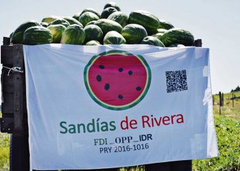 Pequeños productores de sandía reclaman por accionar de intermediarios ante la UAM