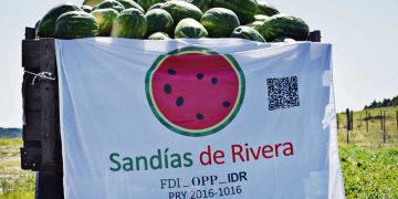 Pequeños productores de sandía reclaman por accionar de intermediarios ante la UAM