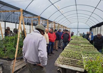 Ing. Teyza: “Con el programa Paysandú Sostenible despertamos la horticultura que estaba dormida”