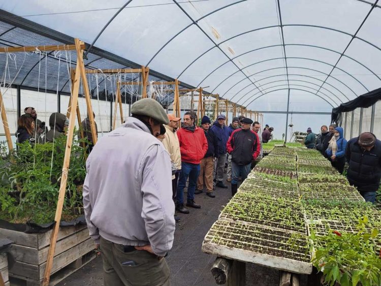 Ing. Teyza: “Con el programa Paysandú Sostenible despertamos la horticultura que estaba dormida”