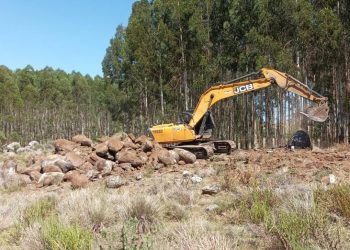 Emprendimiento minero explotará granito gris y negro en Cerro Colorado