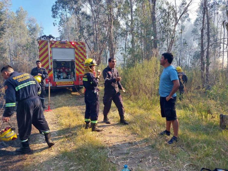 “No puede ser que Bomberos siga siempre siendo el último orejón del tarro”
