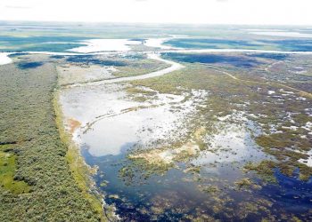 Isla del Padre y Bañado de los Indios: dos zonas protegidas que prometen ser polos educativos y científicos
