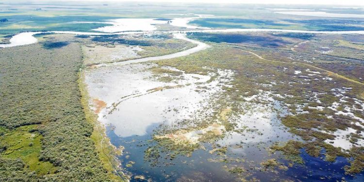 Isla del Padre y Bañado de los Indios: dos zonas protegidas que prometen ser polos educativos y científicos