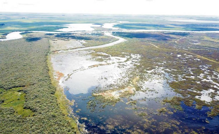 Isla del Padre y Bañado de los Indios: dos zonas protegidas que prometen ser polos educativos y científicos