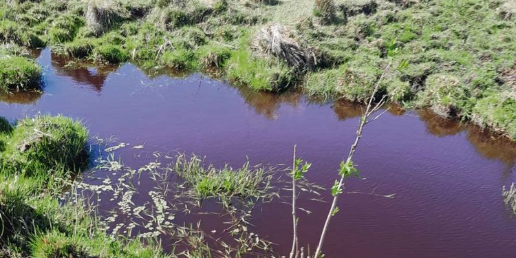 Ambientalistas alertan sobre situación del Río Negro a pocas semanas de la puesta en marcha de UPM2