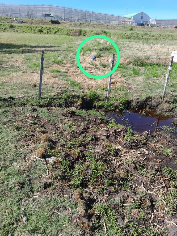 Ambientalistas alertan sobre situación del Río Negro a pocas semanas de la puesta en marcha de UPM2