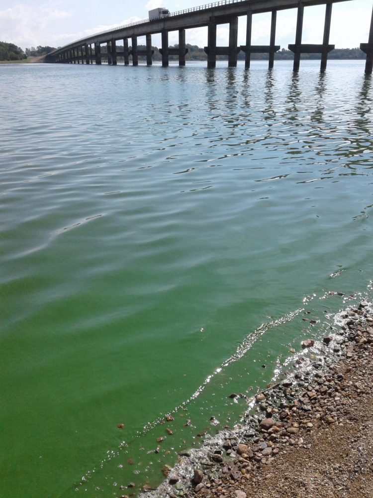 Ambientalistas alertan sobre situación del Río Negro a pocas semanas de la puesta en marcha de UPM2