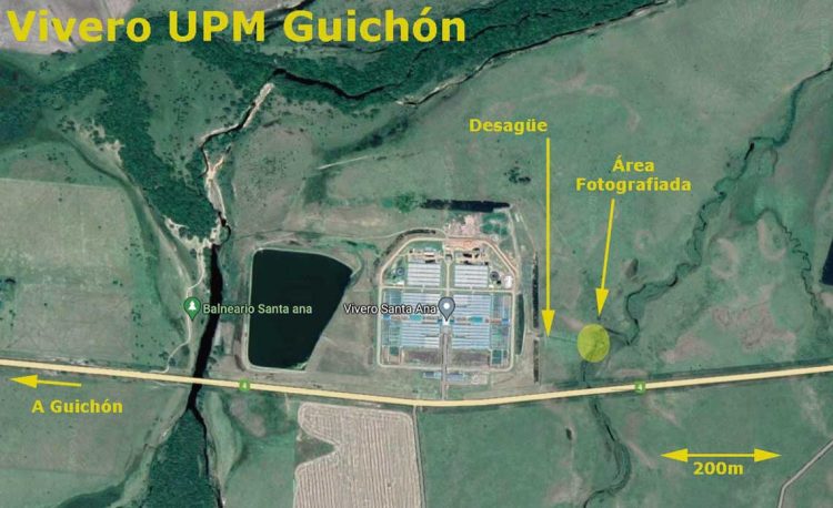 Ambientalistas alertan sobre situación del Río Negro a pocas semanas de la puesta en marcha de UPM2