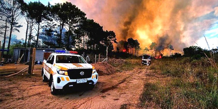 ¿Cuáles han sido los principales avances en la prevención de incendios forestales?