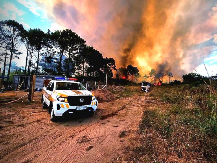 ¿Cuáles han sido los principales avances en la prevención de incendios forestales?